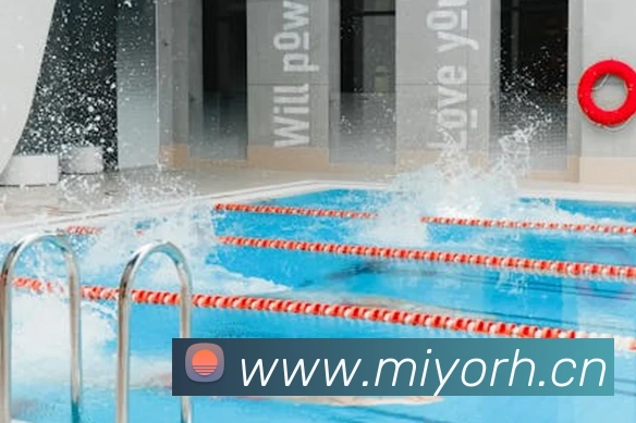 多媒体互动体验